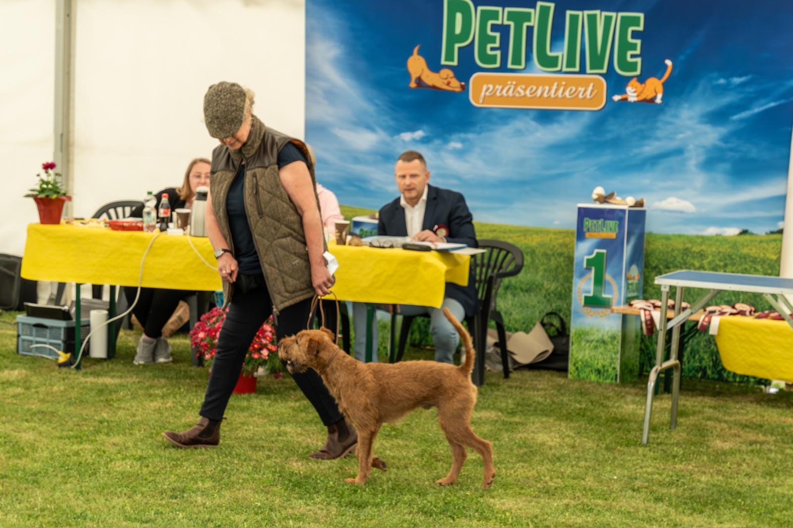 dbe7a78d-37ce-49bd-afe4-9d1b69269029